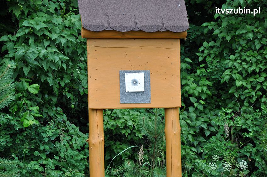 W Grzecznej Pannie było super