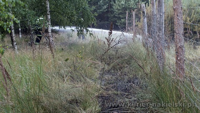 Spłonęło 10 arów poszycia leśnego w młodniku