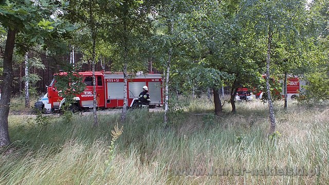 Spłonęło 10 arów poszycia leśnego w młodniku