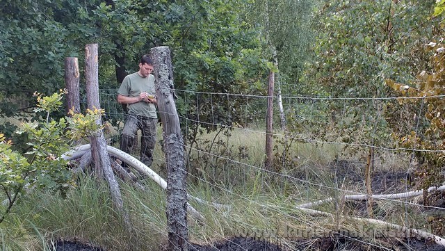 Spłonęło 10 arów poszycia leśnego w młodniku