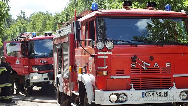 Spłonęło 10 arów poszycia leśnego w młodniku