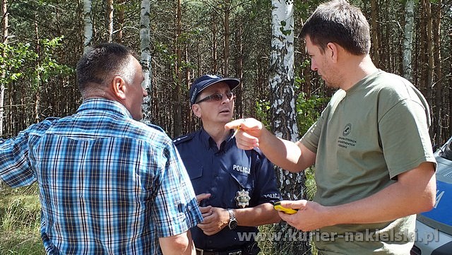 Spłonęło 10 arów poszycia leśnego w młodniku