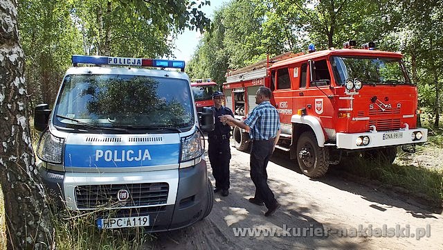 Spłonęło 10 arów poszycia leśnego w młodniku