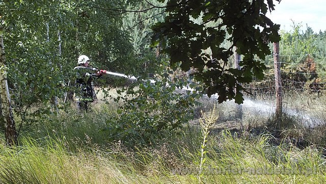 Spłonęło 10 arów poszycia leśnego w młodniku