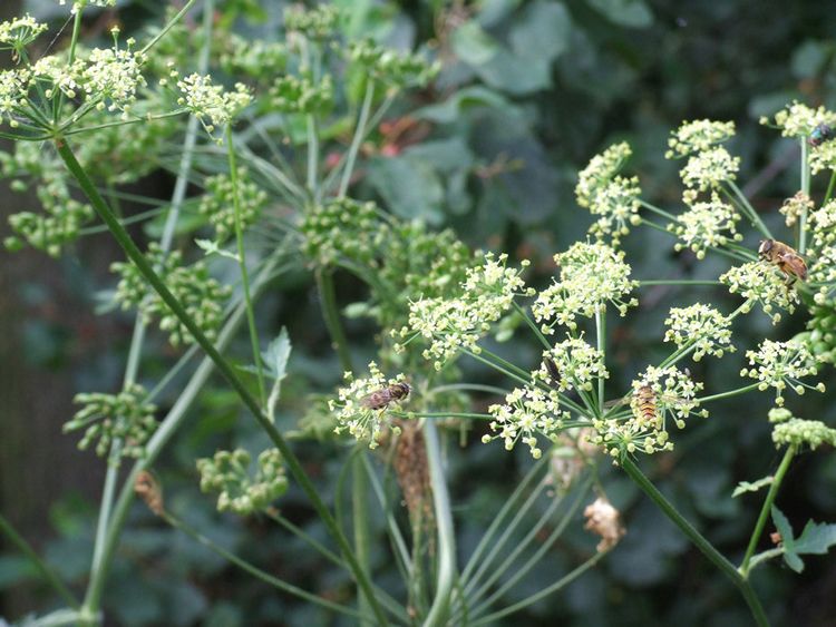 Uwaga, Mieszkańcy Gminy Szubin!!!