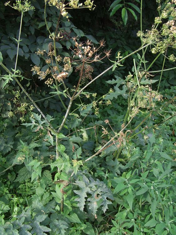 Uwaga, Mieszkańcy Gminy Szubin!!!