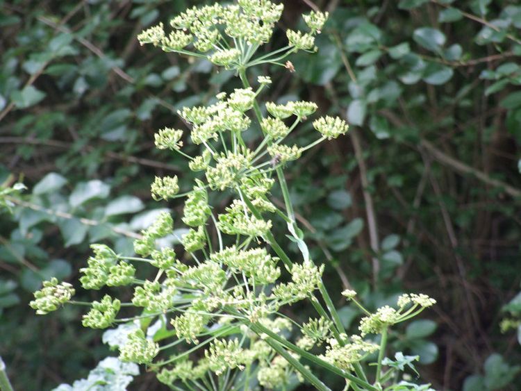 Uwaga, Mieszkańcy Gminy Szubin!!!