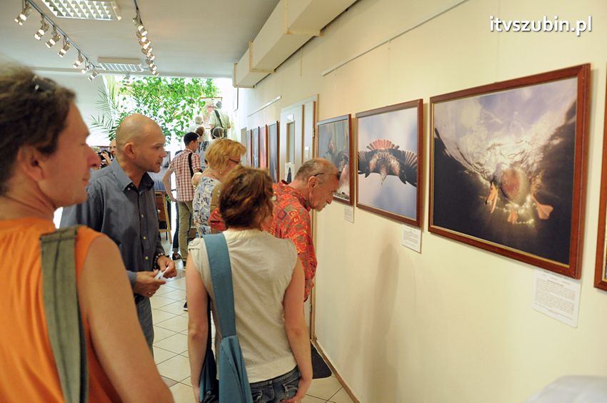 Dzika przyroda Świata w  bibliotece !
