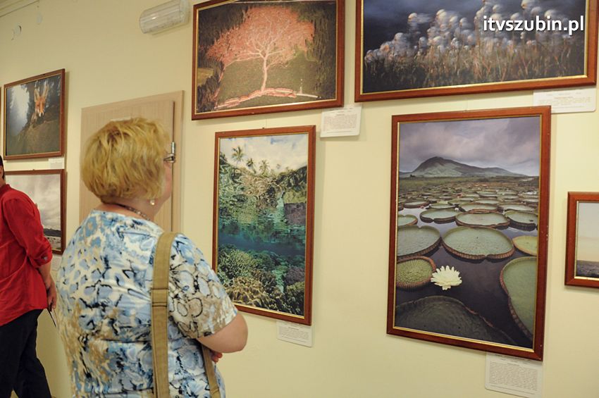 Dzika przyroda Świata w  bibliotece !