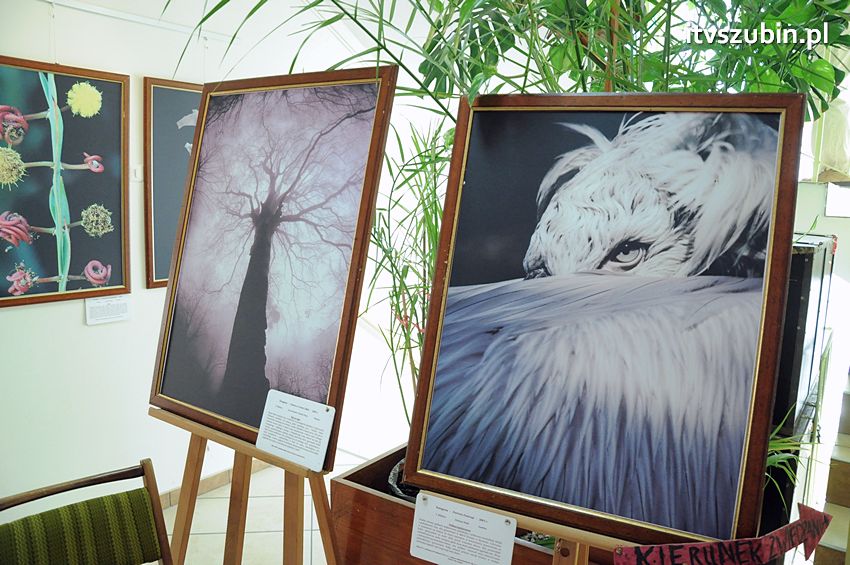 Dzika przyroda Świata w  bibliotece !