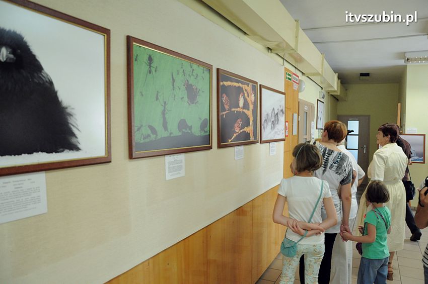 Dzika przyroda Świata w  bibliotece !