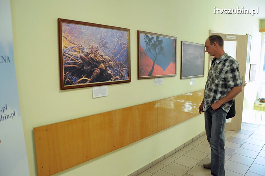 Dzika przyroda Świata w  bibliotece !