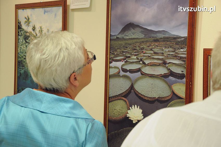 Dzika przyroda Świata w  bibliotece !