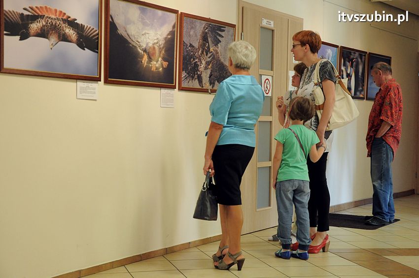 Dzika przyroda Świata w  bibliotece !