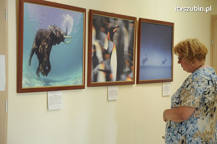 Dzika przyroda Świata w  bibliotece !