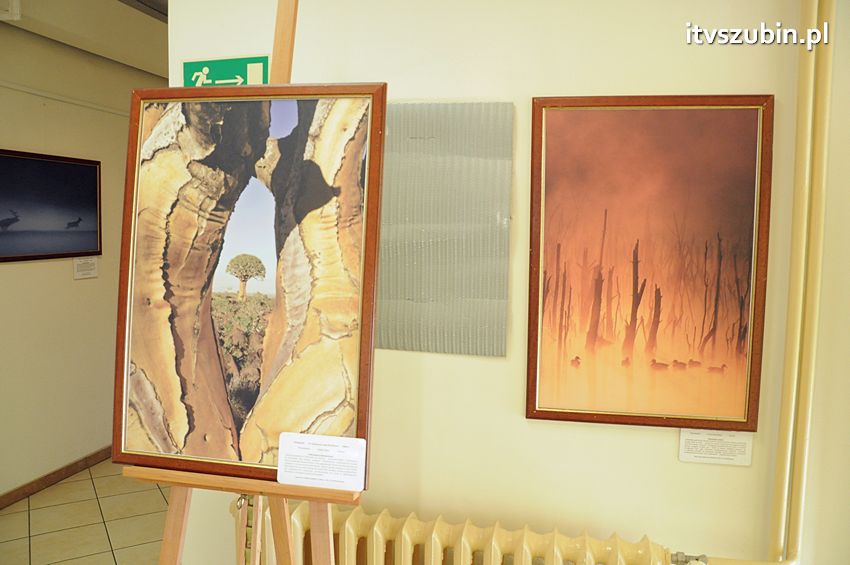 Dzika przyroda Świata w  bibliotece !