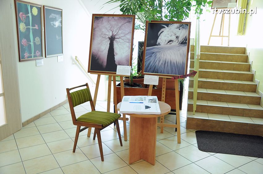 Dzika przyroda Świata w  bibliotece !