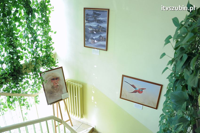 Dzika przyroda Świata w  bibliotece !