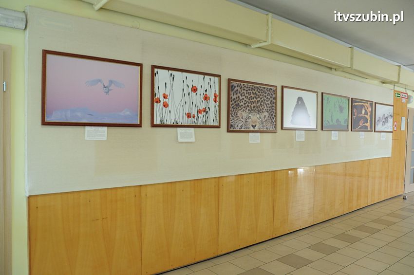 Dzika przyroda Świata w  bibliotece !