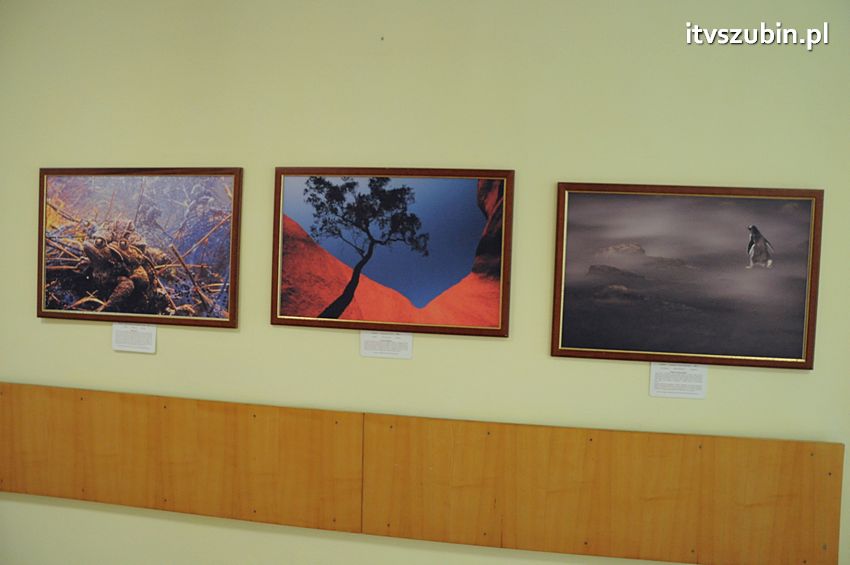 Dzika przyroda Świata w  bibliotece !