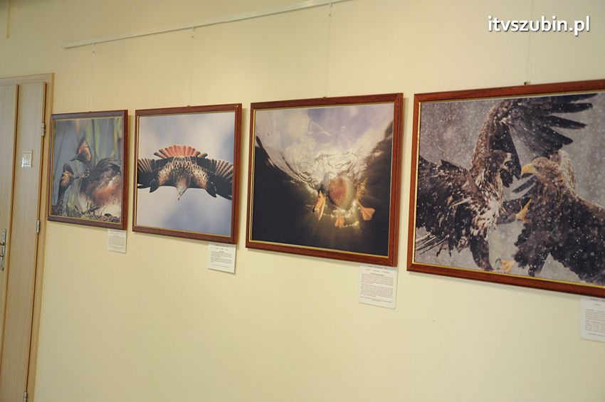 Dzika przyroda Świata w  bibliotece !