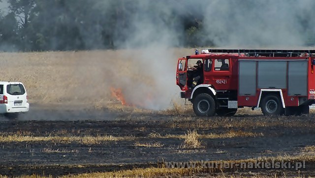 Spłonęło około 25 ha zboża na pniu