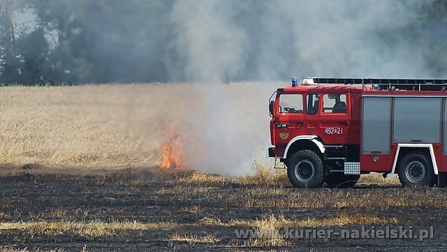 Spłonęło około 25 ha zboża na pniu