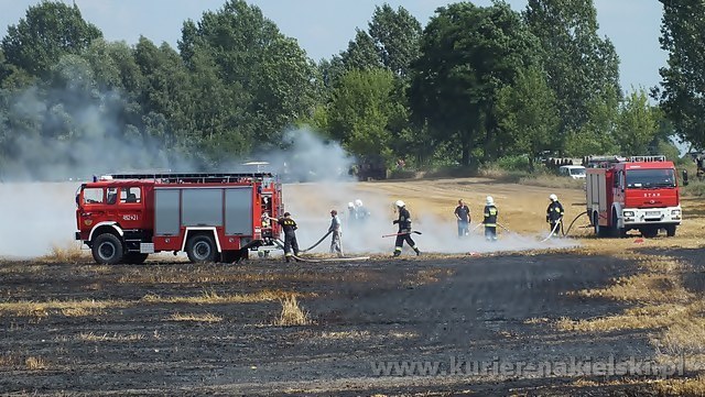Spłonęło około 25 ha zboża na pniu