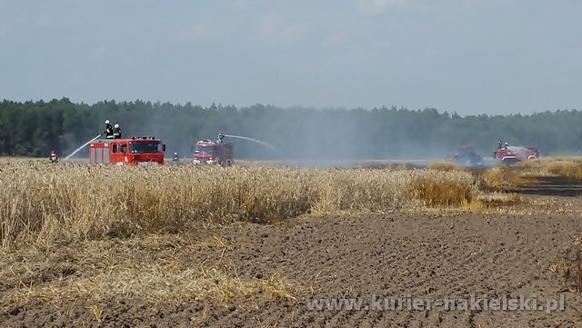 Spłonęło około 25 ha zboża na pniu