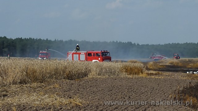 Spłonęło około 25 ha zboża na pniu