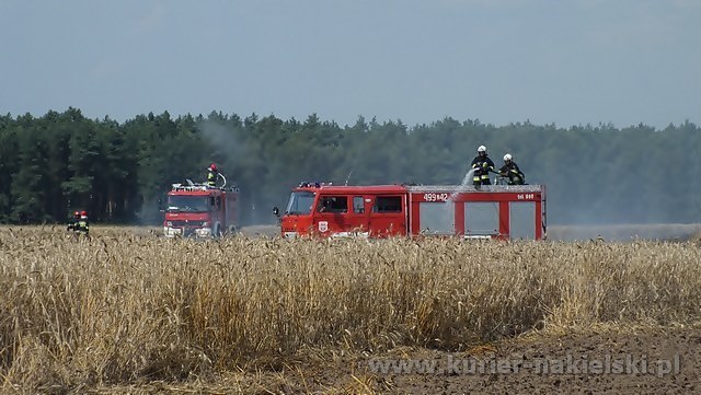 Spłonęło około 25 ha zboża na pniu