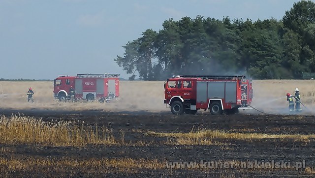 Spłonęło około 25 ha zboża na pniu