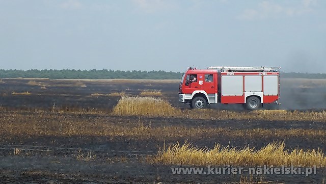 Spłonęło około 25 ha zboża na pniu