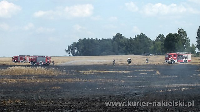 Spłonęło około 25 ha zboża na pniu