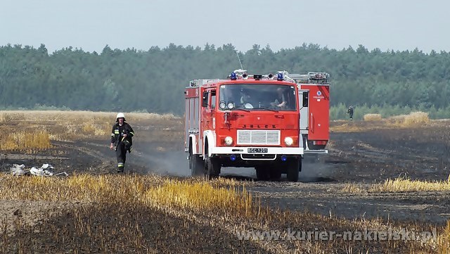 Spłonęło około 25 ha zboża na pniu