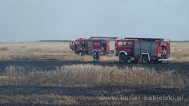 Spłonęło około 25 ha zboża na pniu