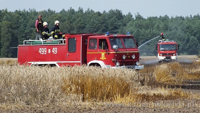 Spłonęło około 25 ha zboża na pniu