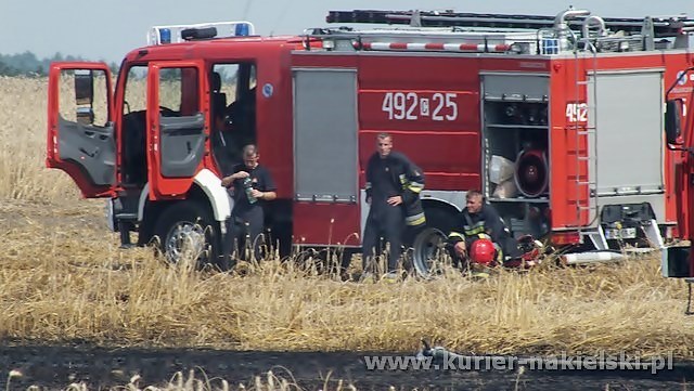 Spłonęło około 25 ha zboża na pniu
