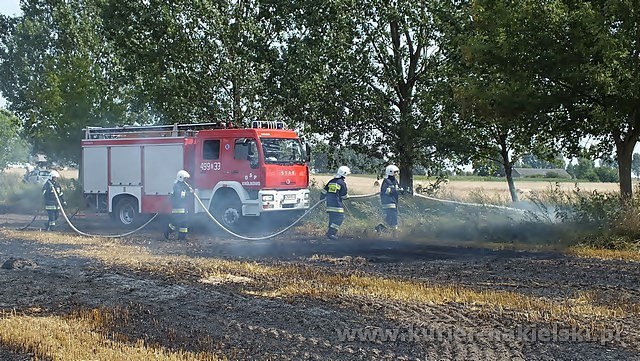Spłonęło około 25 ha zboża na pniu