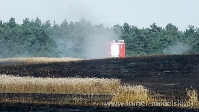 Spłonęło około 25 ha zboża na pniu