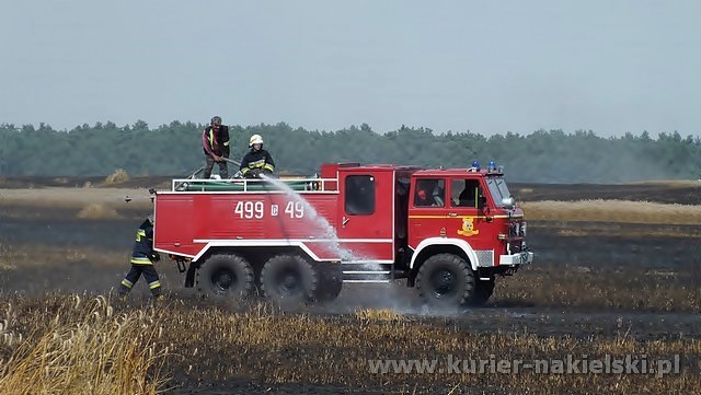 Spłonęło około 25 ha zboża na pniu