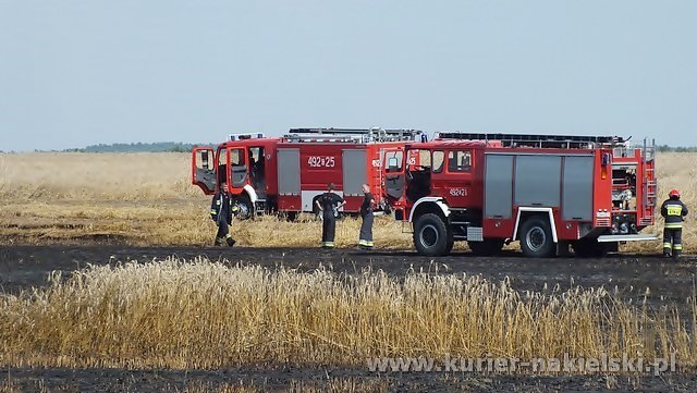 Spłonęło około 25 ha zboża na pniu