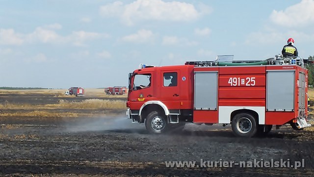 Spłonęło około 25 ha zboża na pniu