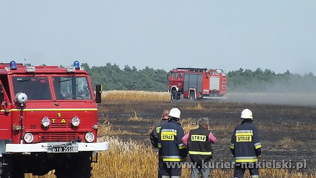Spłonęło około 25 ha zboża na pniu