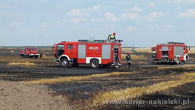 Spłonęło około 25 ha zboża na pniu