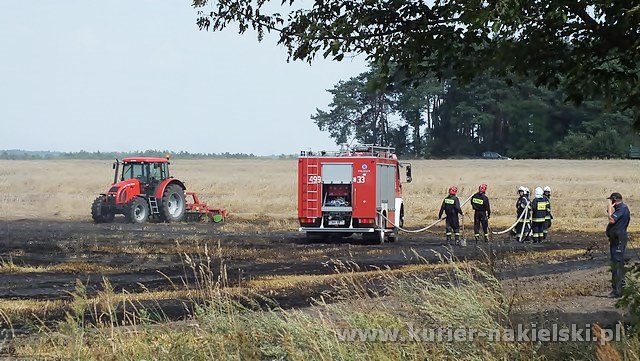 Spłonęło około 25 ha zboża na pniu