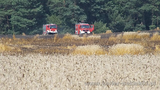 Spłonęło około 25 ha zboża na pniu
