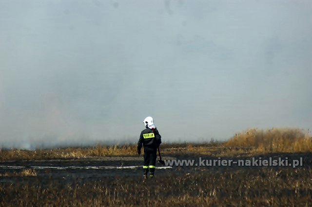 Spłonęło około 25 ha zboża na pniu