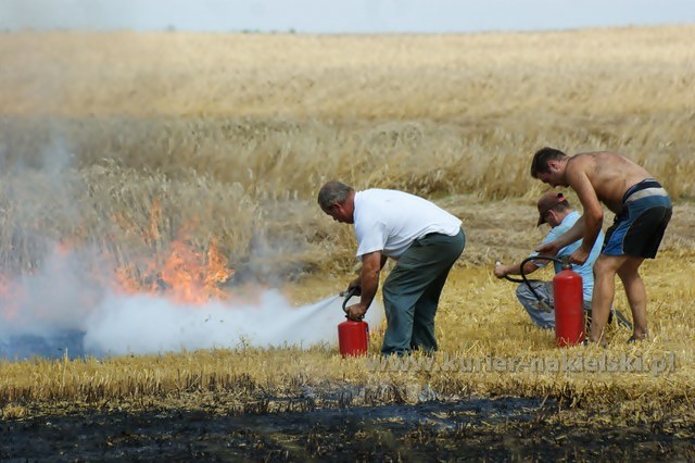Spłonęło około 25 ha zboża na pniu