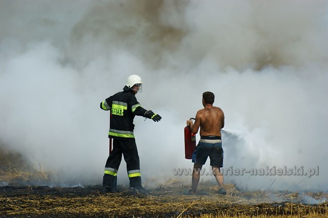 Spłonęło około 25 ha zboża na pniu